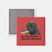 Magnet "Labrador Retriever" (Recto/Verso)