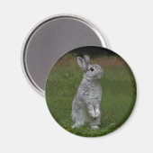 Magnet Lapin Bébé Mignon (Recto/Verso)
