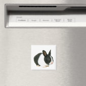 Magnet lapin lapin (In Situ (Lave-vaisselle))
