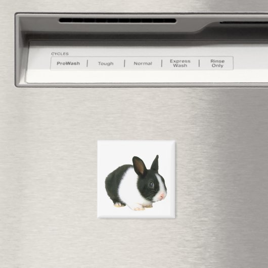 Magnet lapin lapin (In Situ (Lave-vaisselle))