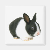 Magnet lapin lapin (Devant)