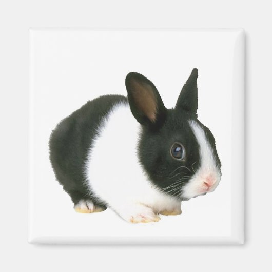 Magnet lapin lapin (Devant)
