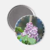 Magnet Lavender Lilac (Recto/Verso)