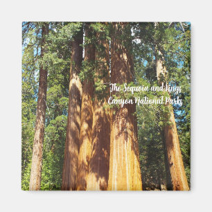 Magnet Les parcs nationaux de Sequoia et Kings Can