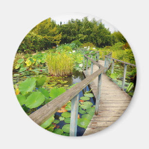Magnet Lily Pond