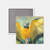 Magnet Macaw (Recto/Verso)