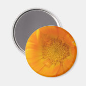 Magnet Macro orange Marigold (Recto/Verso)