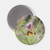 Magnet Magneet (Voorkant / Achterkant)