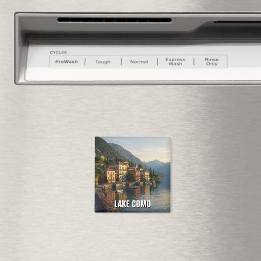 Magnet Magneet (Insitu (Vaatwasser))