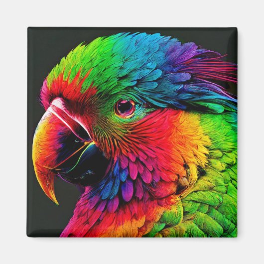 Magnet Magneet (Voorkant)