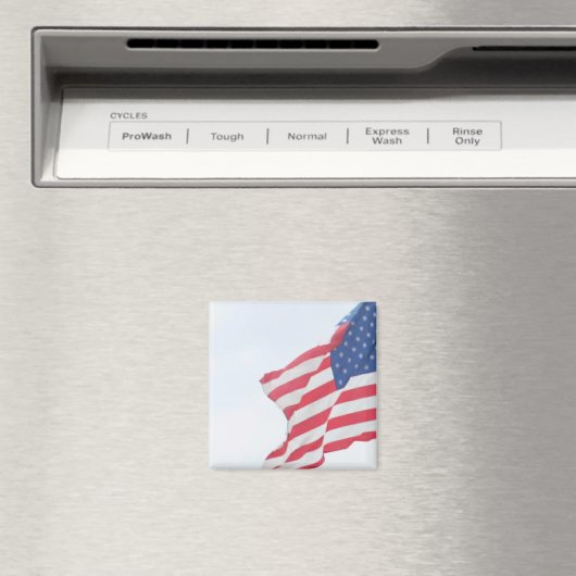 Magnet Magneet (Insitu (Vaatwasser))