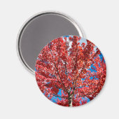 Magnet Magneet (Voorkant / Achterkant)