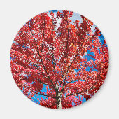 Magnet Magneet (Voorkant)