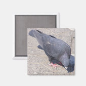 Magnet Magneet (Voorkant / Achterkant)