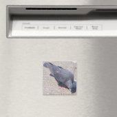 Magnet Magneet (Insitu (Vaatwasser))