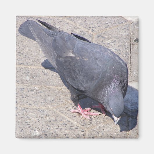 Magnet Magneet (Voorkant)