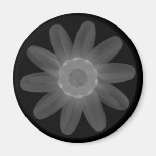 Magnet Magneet