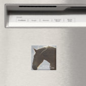 Magnet Magneet (Insitu (Vaatwasser))