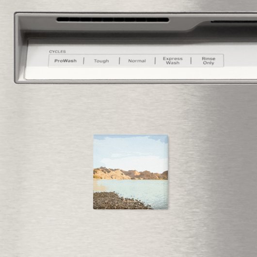 Magnet Magneet (Insitu (Vaatwasser))