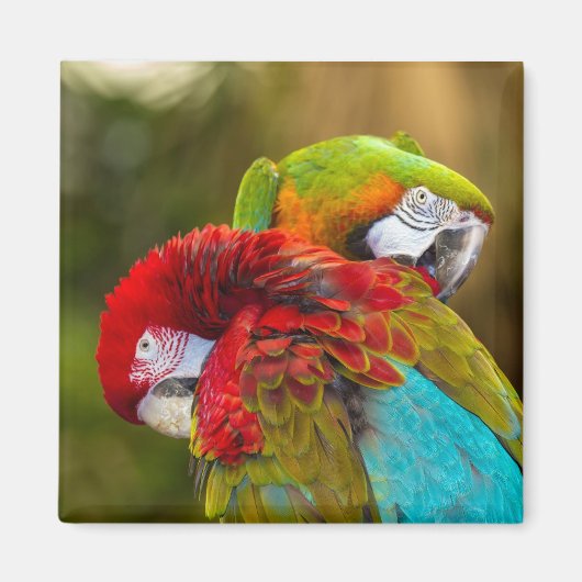 Magnet Magneet (Voorkant)