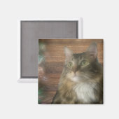 Magnet Magneet (Voorkant / Achterkant)