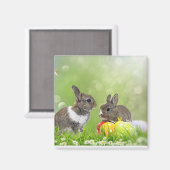 Magnet Magneet (Voorkant / Achterkant)