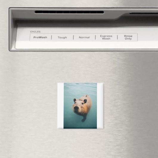 Magnet Magneet (Insitu (Vaatwasser))