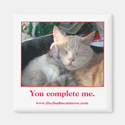 Magnet Magneet (Voorkant)