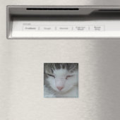 Magnet - Maine Coon Cat Image 2 (In Situ (Lave-vaisselle))