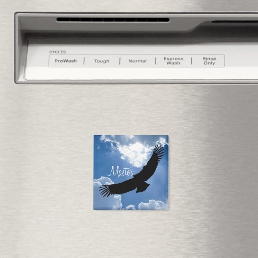 Magnet maître (In Situ (Lave-vaisselle))