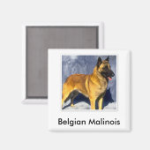 Magnet Malinois (Recto/Verso)