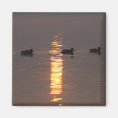 Magnet Mallards (Devant)
