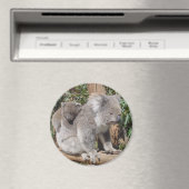 Magnet mère et enfant (In Situ (Lave-vaisselle))