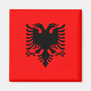 Magnet met vlag van Albanië (Flamuri i Shqipërisë) Magneet
