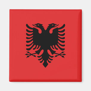 Magnet met vlag van Albanië (Flamuri i Shqipërisë) Magneet