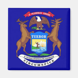 Magnet met vlag van de staat Michigan - VS Magneet