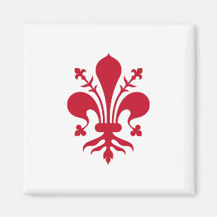 Magnet met Vlag van Florence, Toscane, Italië Magneet