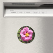 Magnet - Mexicaans Roos Magneet (Insitu (Vaatwasser))