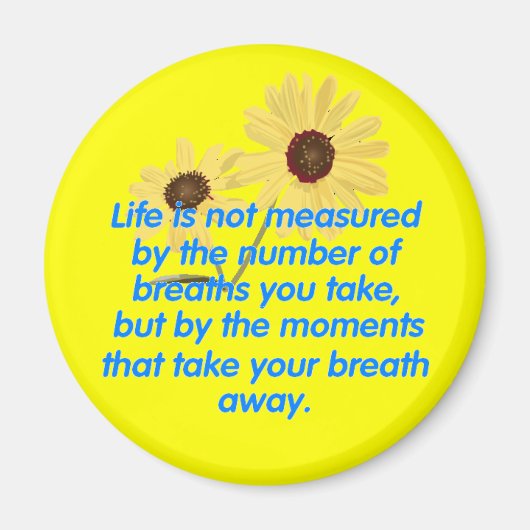 Magnet Moments (Devant)