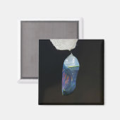 Magnet - Monarch Chrysalis (2022) (Recto/Verso)