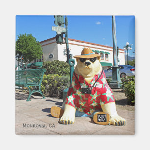 Magnet Monrovia Funky !