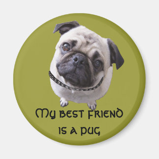 Magnet "Mops" Magneet