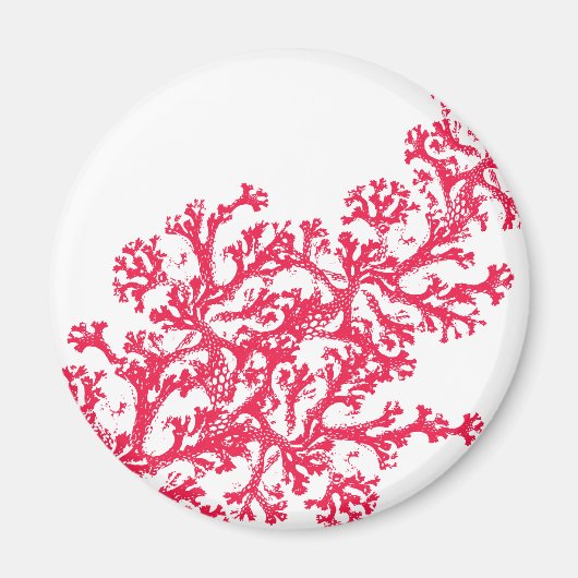 Magnet Motif Coral (Devant)