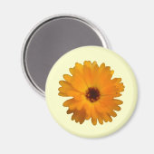 Magnet orange Marigold (Recto/Verso)