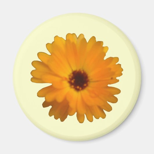 Magnet orange Marigold (Devant)