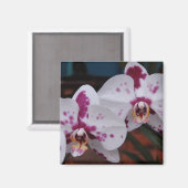 Magnet : Orchidées (Recto/Verso)