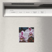 Magnet : Orchidées (In Situ (Lave-vaisselle))