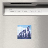 Magnet-Paaseiland, Chili Magneet (Insitu (Vaatwasser))