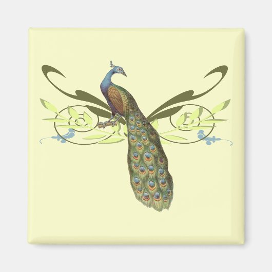 Magnet Paon Vintage (Devant)