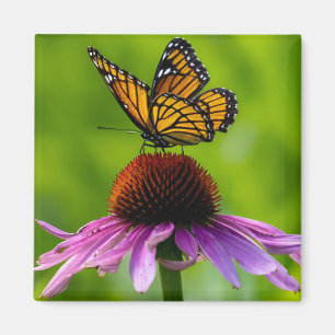 Magnet papillon 2 pouces